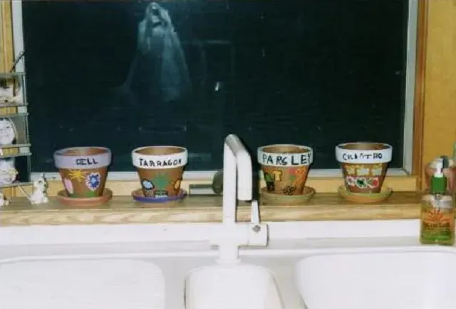 Phantom Past The Window